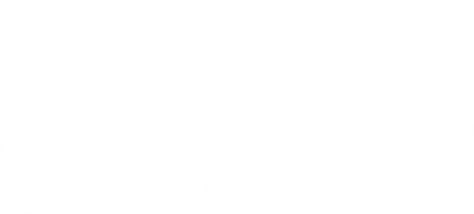 I-ORTO - INSTITUTO DE ORTOPEDIA DE TOLEDO